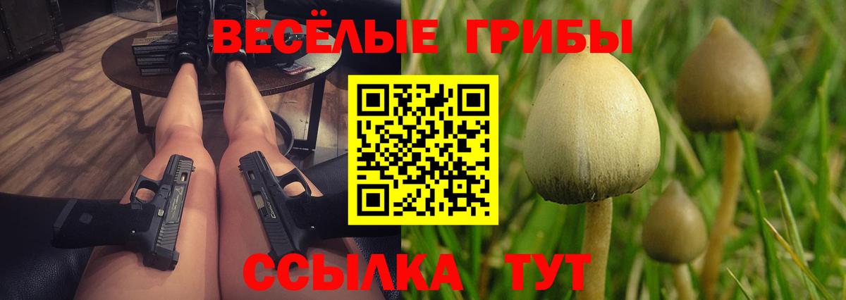 Псилоцибиновые грибы Psilocybe Братск